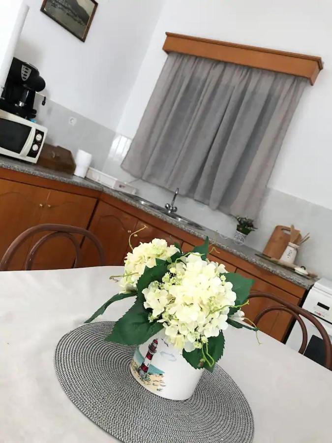 Villa Konstantina Skalia Ngoại thất bức ảnh